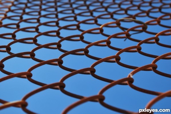 wire mesh