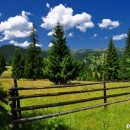 fences 2 photography contest