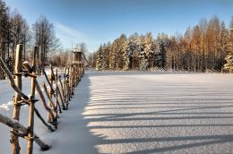 Fenceandshadow