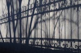 Shadowland fence