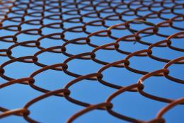 wire mesh