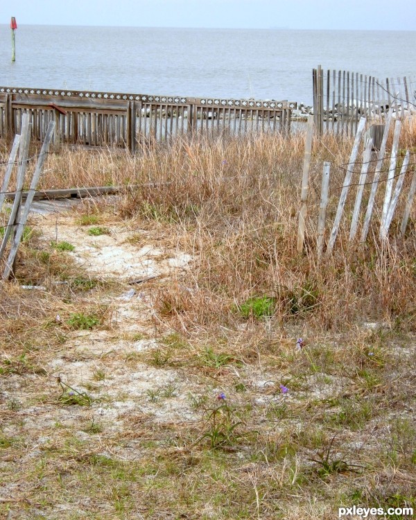 Beach Fence