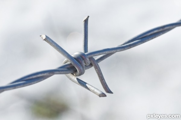 Metal fence