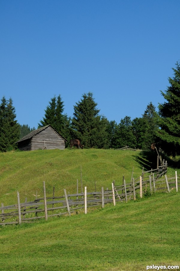 Mountain fence