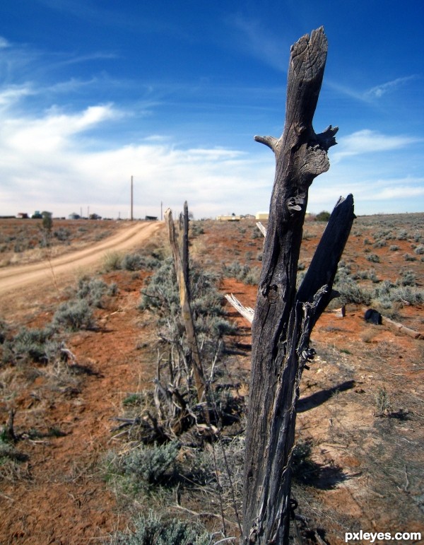 Prairie Fence