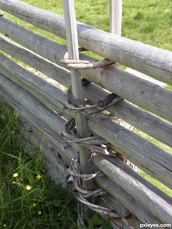 Mountain fences