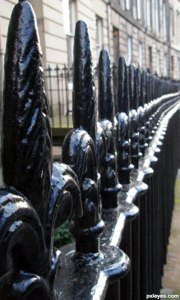 Old Edinburgh Fence