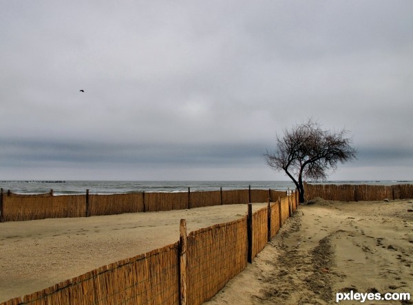 Beach lines