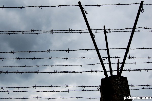 Breendonck Fence