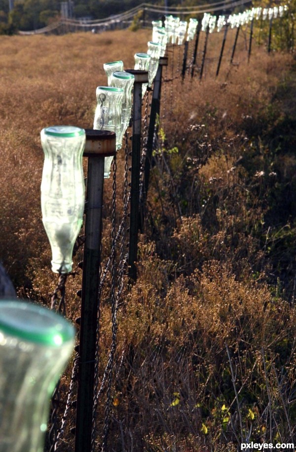 Fenced Bottles