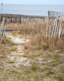 Beach Fence