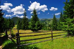 Alone fence Picture