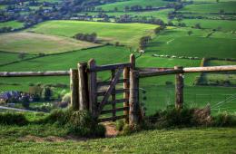 fences4bcc2df9455c2