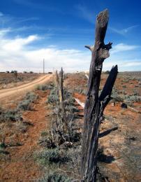 Prairie Fence