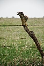 Boot fence