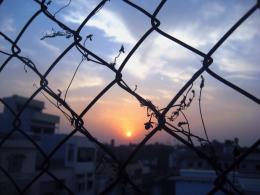 Fence or Frame.