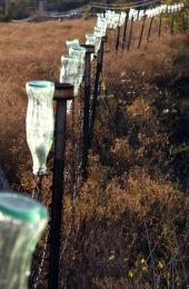 Fenced Bottles