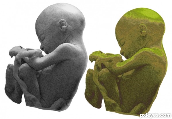 Creation of Fern Baby: Step 4