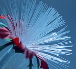 FiberOptics