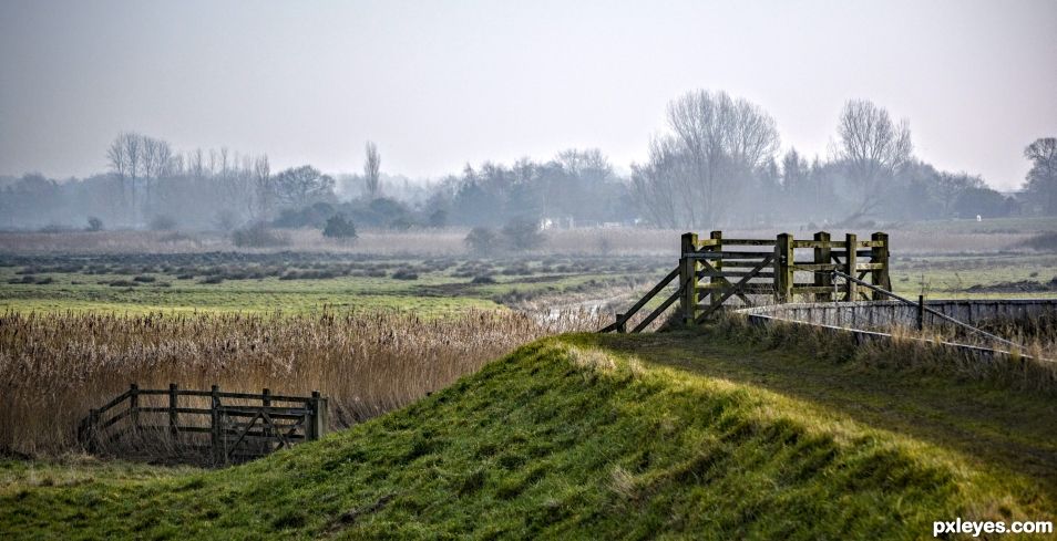 View from the Gate