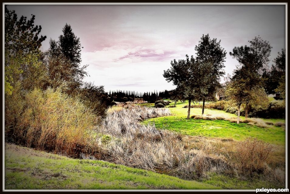 Wetlands at Mountain House