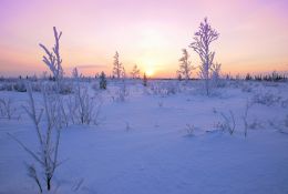 Sunset in the snowfield 