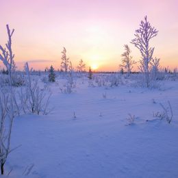 Sunsetinthesnowfield