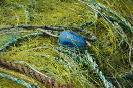 Fishing nets