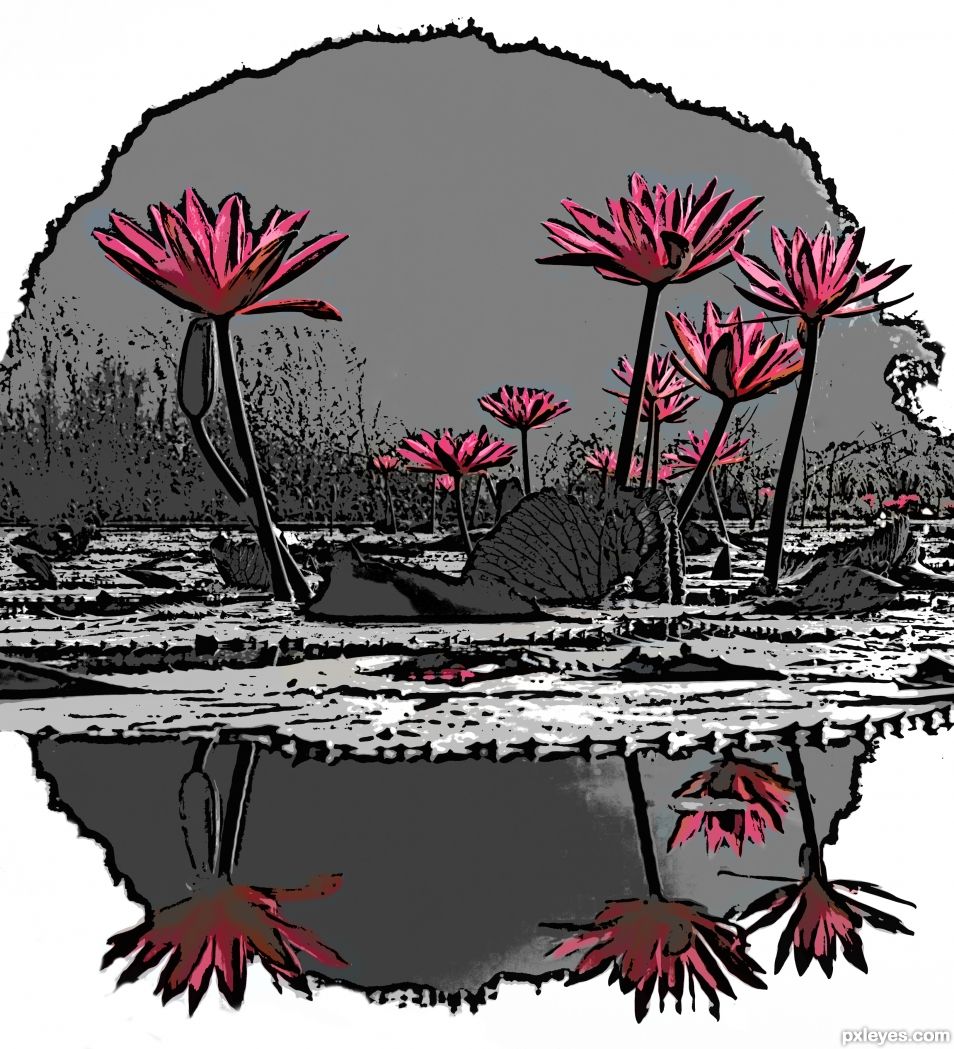 Water Lilies in Filter Forge