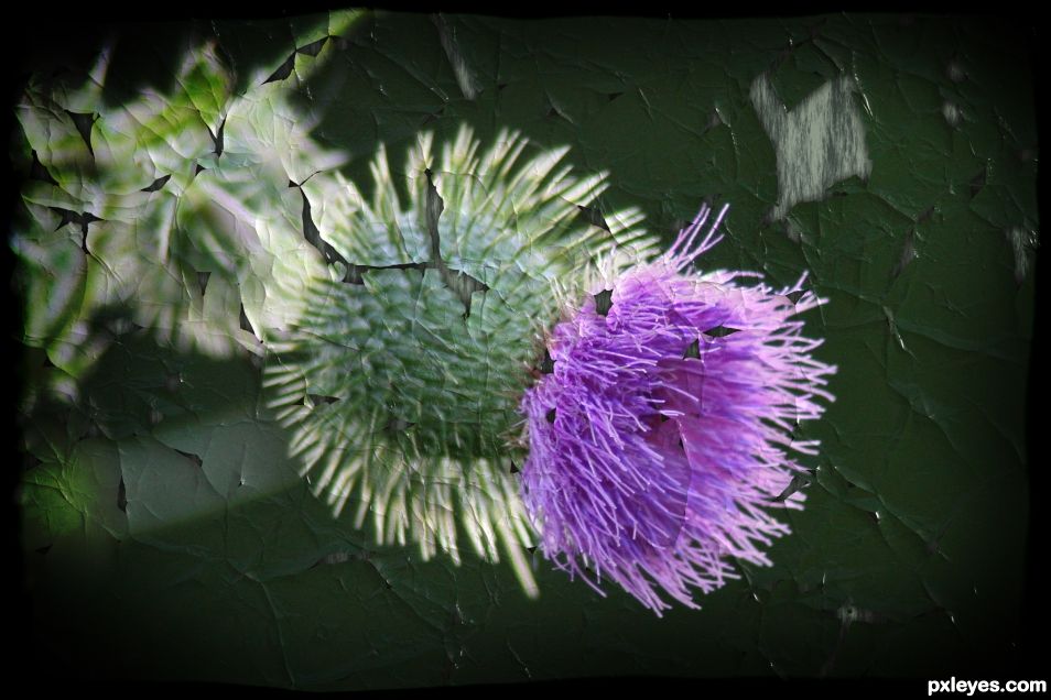 Creation of Thistle: Final Result