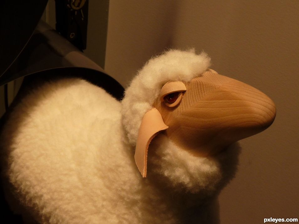 Creation of Old sheep is watching you: Step 1