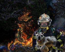 Rescued by a hero firefighter