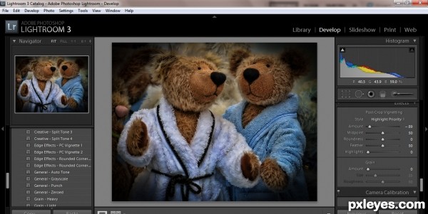 Creation of Bears, Bears: Step 3