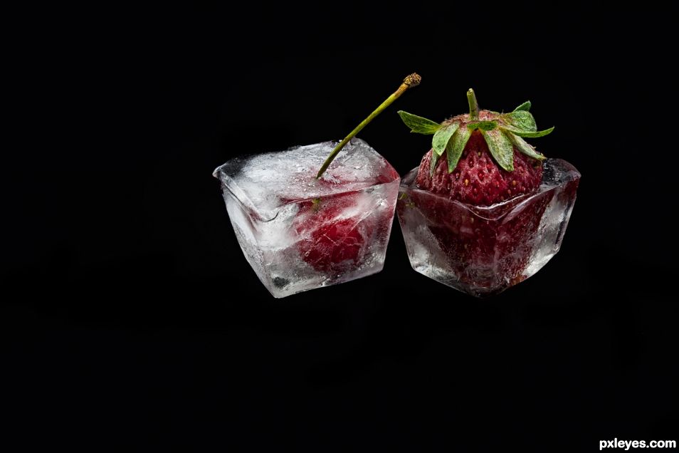 Festive Fruit Ice Cubes • Photo Backdrops UK from Capture by Lucy