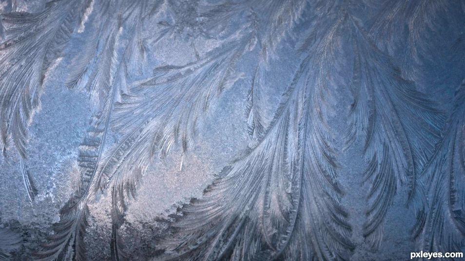 Windshield, ice field