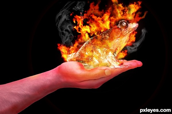 Creation of FROG IN FIRE: Final Result