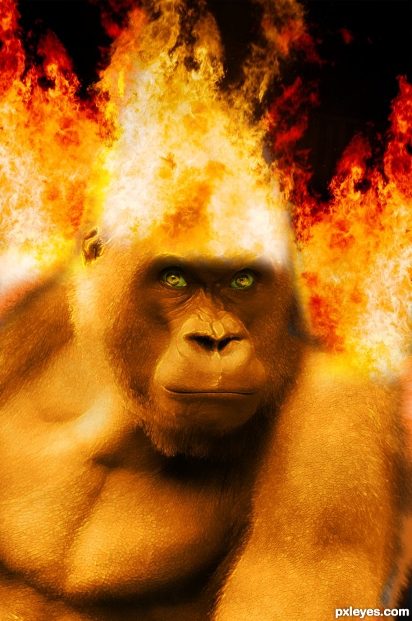 Fire Monkey