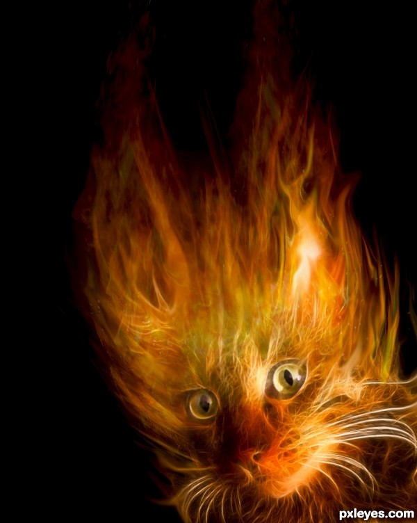 FireCat