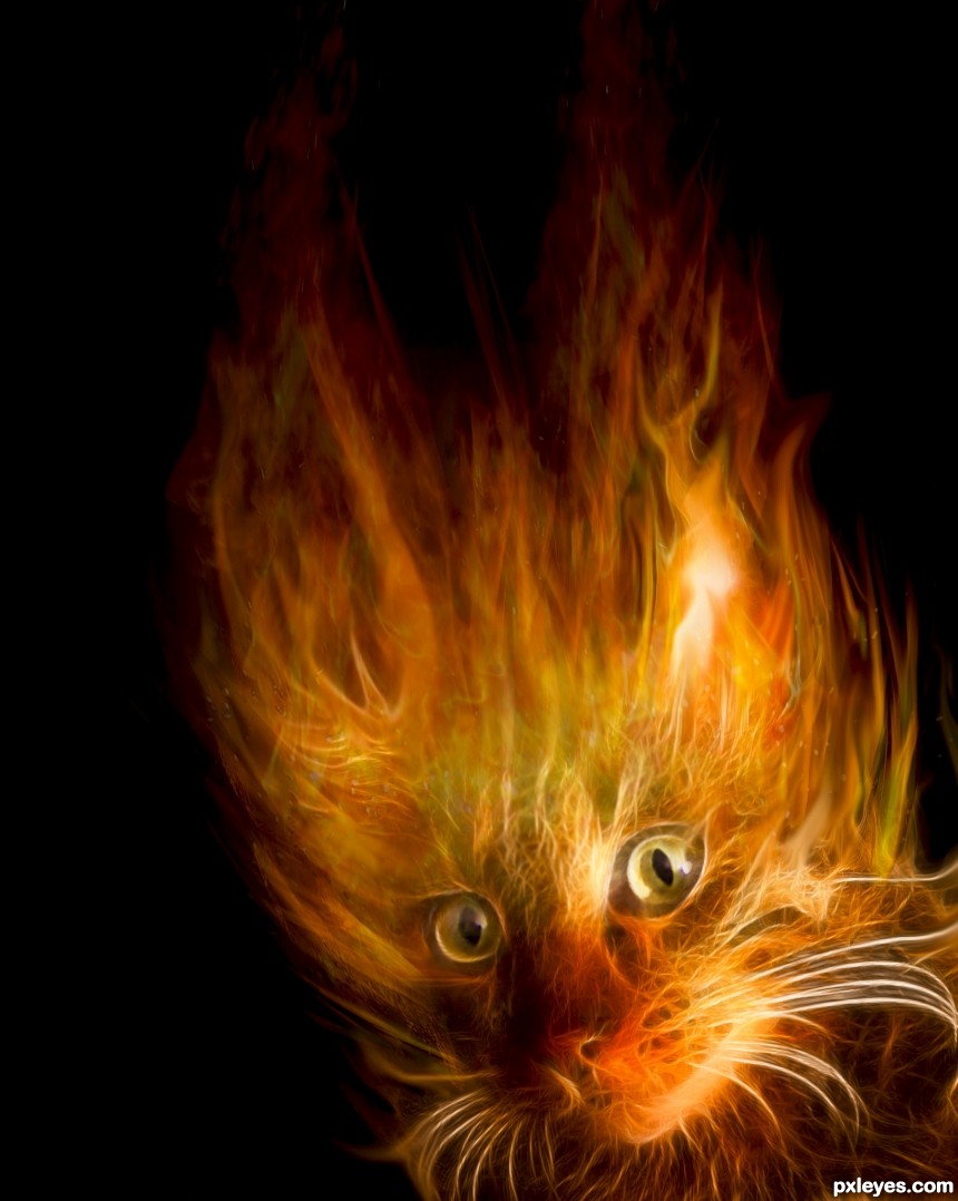 FireCat photoshop picture)