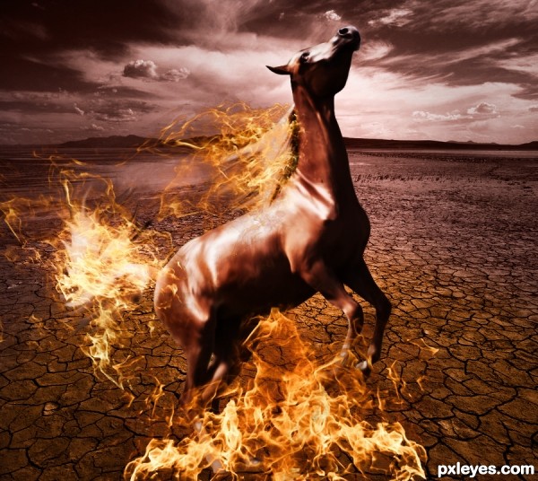 burning horse