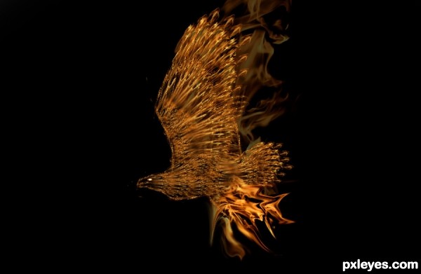 flaming eagle