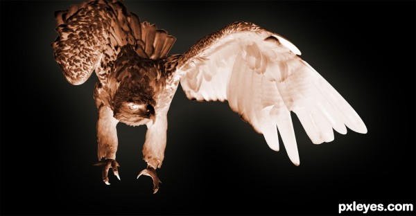 Creation of Phoenix Next: Step 4