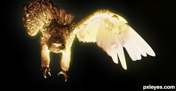 Creation of Phoenix Next: Step 5