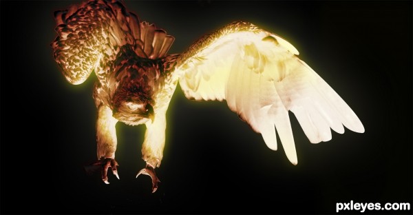 Creation of Phoenix Next: Step 6