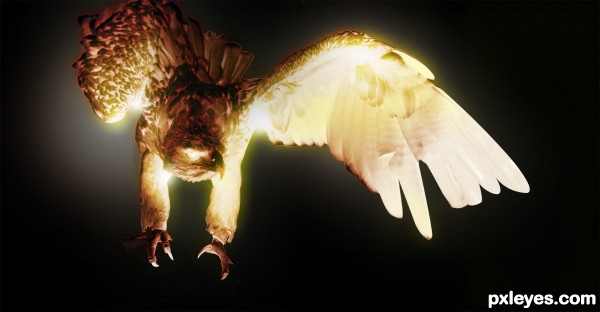 Creation of Phoenix Next: Step 7