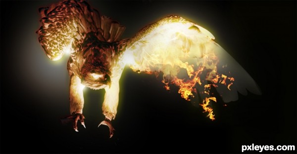 Creation of Phoenix Next: Step 8