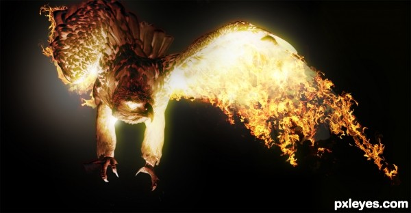 Creation of Phoenix Next: Step 10