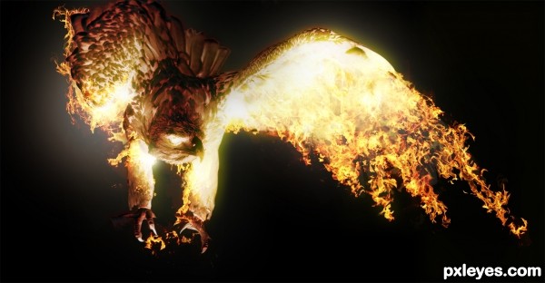 Creation of Phoenix Next: Step 11