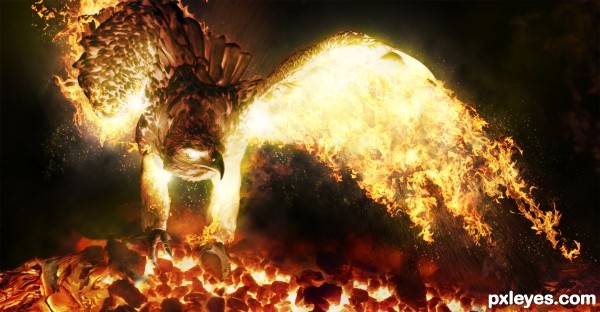 Creation of Phoenix Next: Step 14