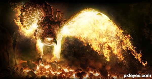Creation of Phoenix Next: Step 15